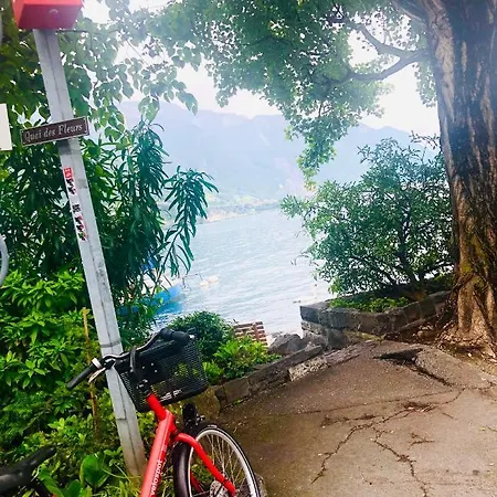 Family With View | 73 *