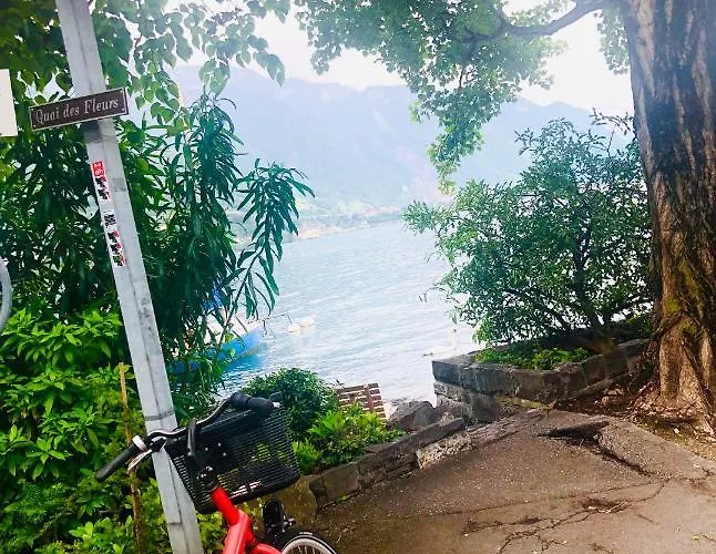 Family With View | 73 *